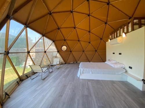 Легло или легла в стая в Therapy igloo
