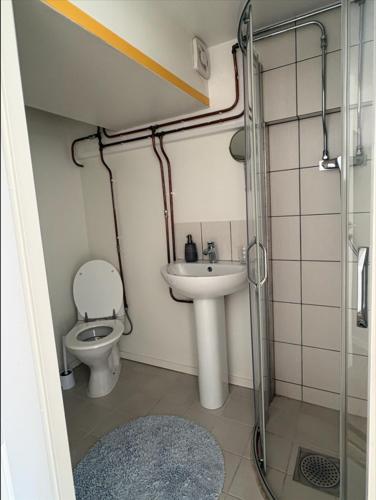 a small bathroom with a toilet and a sink at The Old Garages in Uddeholm