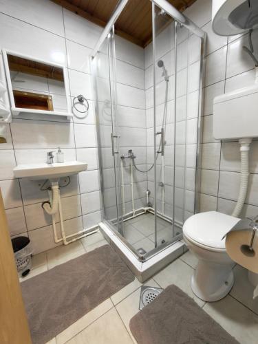 a bathroom with a shower and a toilet and a sink at Dedinski Raj in Golubac