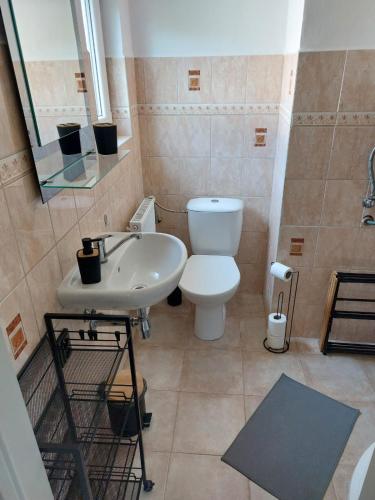 a bathroom with a white toilet and a sink at Chata Rumunka in Jaroměř