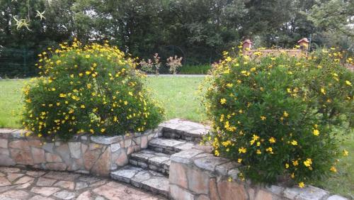 two bushes in a stone wall in a park at Casa Candelas in Lugo de Llanera