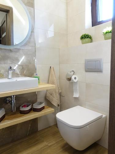 a bathroom with a white toilet and a sink at Agroturystyka Nad Lasem - Domki w górach in Toporzysko