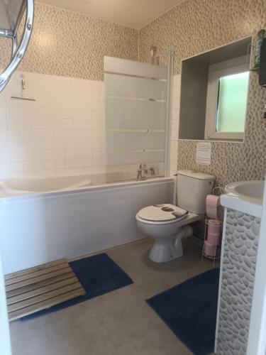 a bathroom with a toilet and a tub and a sink at Les Mesanges in Combrand