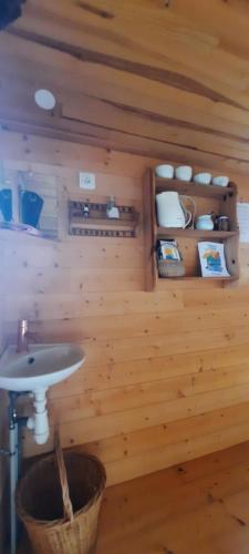 a bathroom with a sink in a wooden wall at Une roulotte dans les vignes Ancenis in Vallons-de-l'Erdre