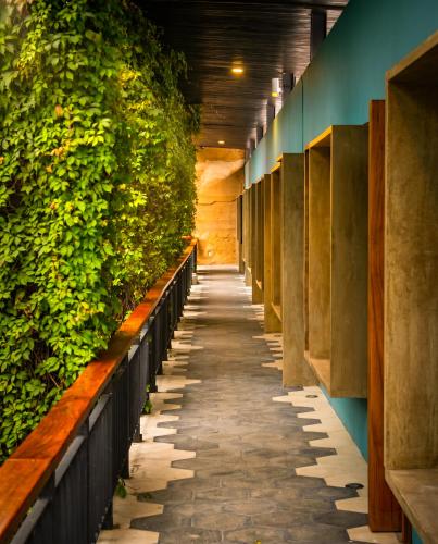 a corridor with a green wall and a hallway sidx sidx at Hotel Bo in San Cristóbal de Las Casas