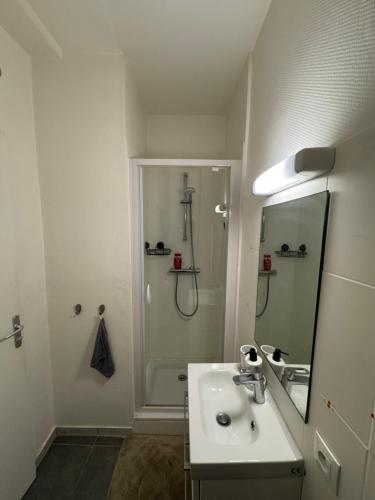 a white bathroom with a shower and a sink at Le Nid Malouin in Saint Malo