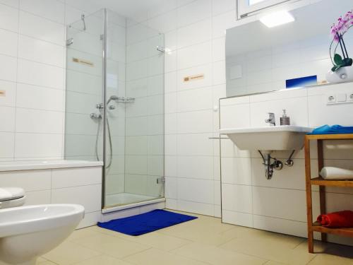 La salle de bains est pourvue d'une douche et d'un lavabo. dans l'établissement Rheinblick Riverview Luxury, à Constance