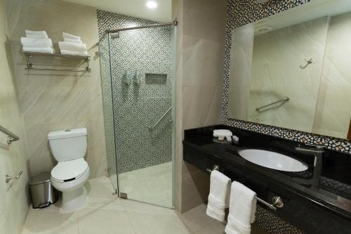a bathroom with a shower and a toilet and a sink at Kali Doña Tere in Acámbaro