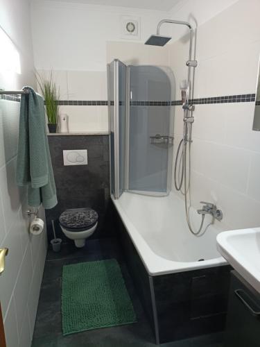 a bathroom with a shower and a toilet and a sink at HarzApart-Goslar in Goslar