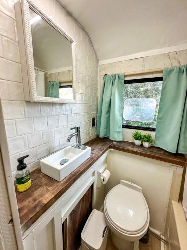 a bathroom with a toilet and a sink and a mirror at Cozy & Private Tiny House Style in Hickson