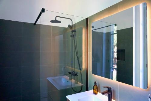 a bathroom with a sink and a shower and a mirror at Maison Constant - Le Camélia in Autun