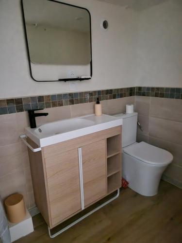 a bathroom with a sink and a toilet and a mirror at Le Logis de Meung Sur Loire in Meung-sur-Loire