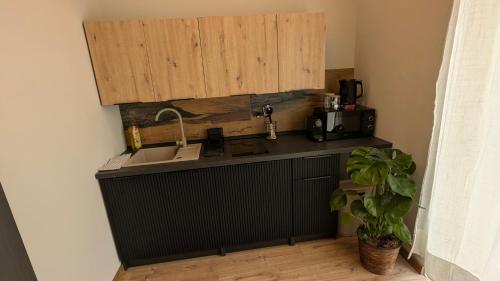 a kitchen with a sink and a counter top at Apartmány Villa Vician in Piešťany