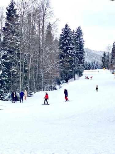 a group of people skiing down a snow covered slope at Vista Studio in Bakuriani
