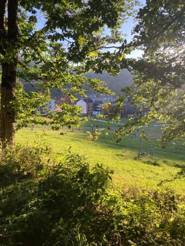 a field of grass with trees and buildings in the background at Vista Studio in Bakuriani