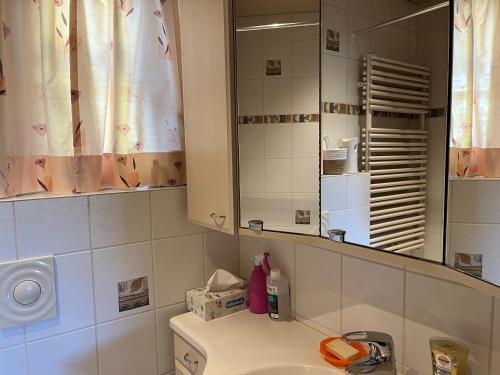 a bathroom with a sink and a mirror at Haus Schneebergblick in Röslau