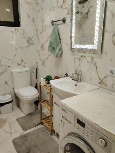 a bathroom with a toilet sink and a washing machine at Къща за гости Азария in Resilovo