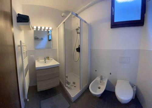 a bathroom with a shower and a toilet and a sink at Studio apartment on the lake in Lovere