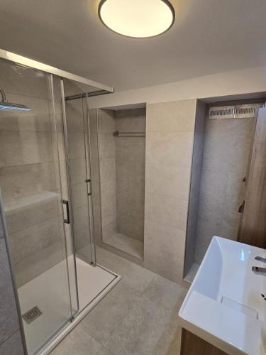 a bathroom with a glass shower and a sink at Ludo Rooms in Radlje ob Dravi