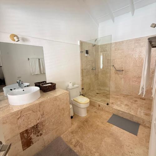 a bathroom with a sink and a toilet and a shower at Terra Taina Boutique Bed&Breakfast in Las Terrenas