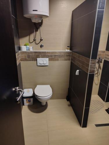 a small bathroom with a toilet and a sink at Milmari Kopaonik in Kopaonik
