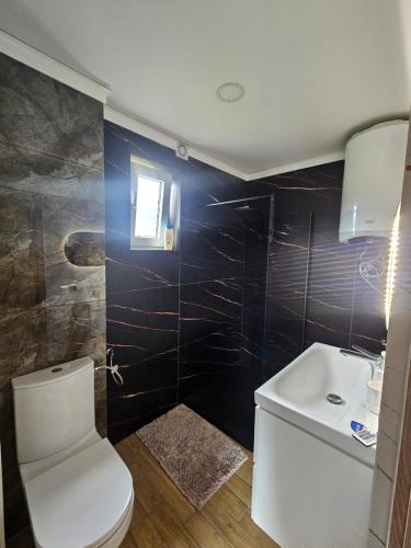 a bathroom with a toilet and a sink at Przystań Vianneya in Giebułtów