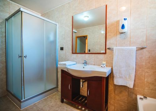 a bathroom with a sink and a shower and a mirror at Hotel Iorana Tolache in San Pedro de Atacama