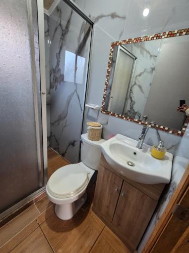 a bathroom with a toilet and a sink and a shower at Cabañas Alfa Colbun Machicura in Linares