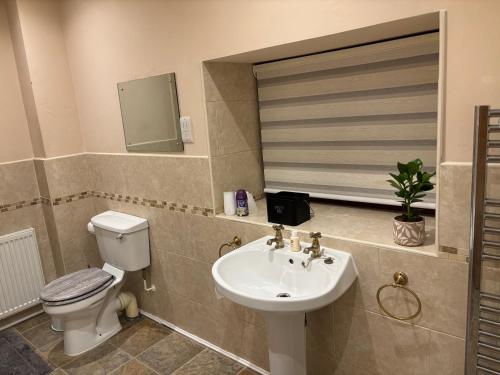 a bathroom with a sink and a toilet and a mirror at Batty lodge in Cockerham