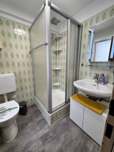 a bathroom with a shower and a toilet and a sink at Old Town Terrace Studio Trier in Trier