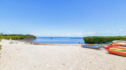 a group of boats sitting on the beach at Pristine Islamorada Pool Home with Ocean View and Dockage in Islamorada