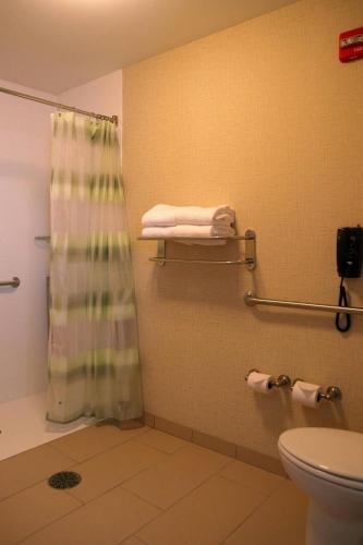 a bathroom with a shower curtain and a toilet at SpringHill Suites Pigeon Forge in Pigeon Forge
