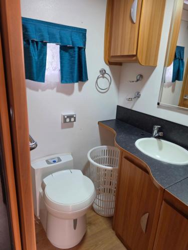 a small bathroom with a toilet and a sink at Luxury Caravan at 10 in Oakleigh