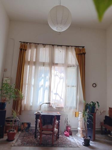 Cocon Sétois Loft Atypique au Cœur de Ville