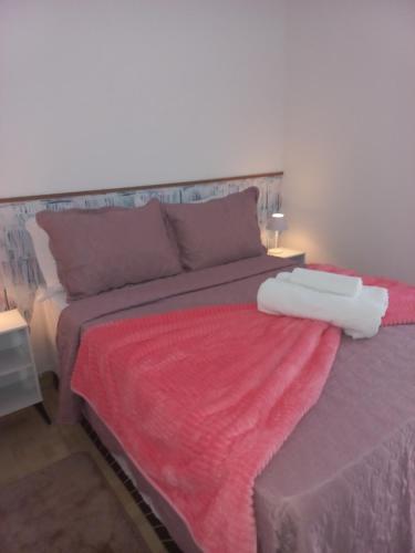 a bedroom with a large bed with a red blanket at Pousada Maia em Flor chale azul in Resende
