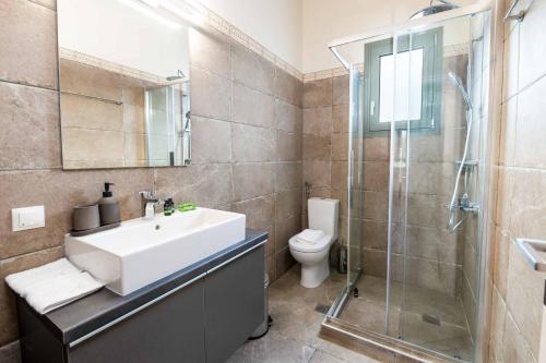 a bathroom with a sink and a shower and a toilet at Villa Ares in Bogdanátika