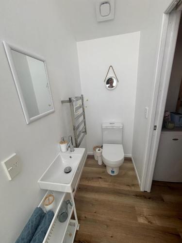 a white bathroom with a sink and a toilet at Mapua Cabbage Trees in Mapua