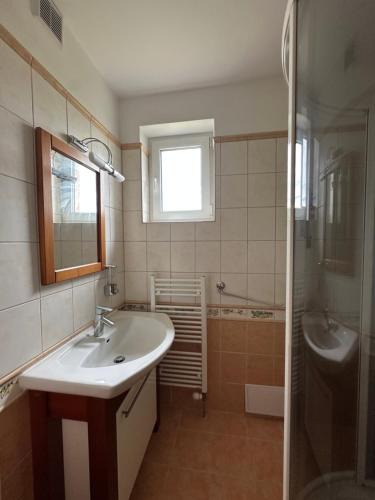 a bathroom with a sink and a shower at Chalet Parížovce with swimming pool and mountain views in Liptovský Trnovec