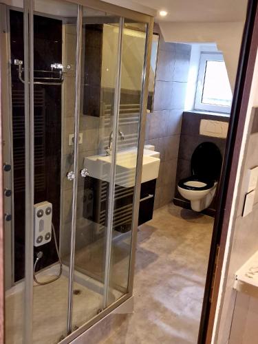 a bathroom with a shower and a sink and a toilet at Historic Canal-Side Apartment in Schiedam