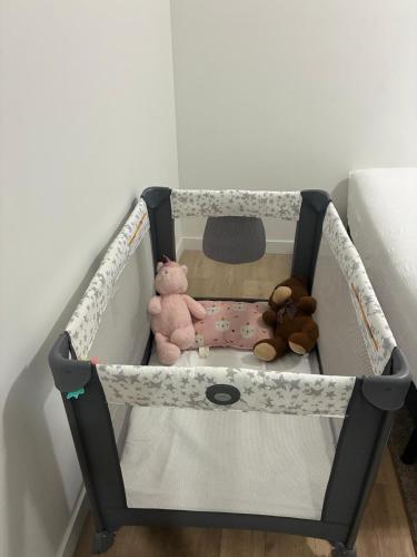 a baby crib with stuffed animals in it at AYBAM's House in Winnipeg