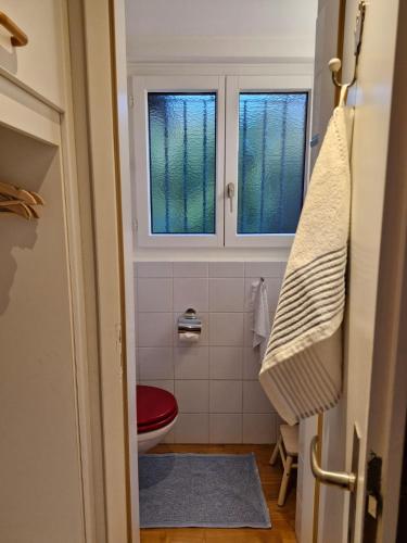 a bathroom with a toilet and two windows at Charming House In Herrliberg in Herrliberg