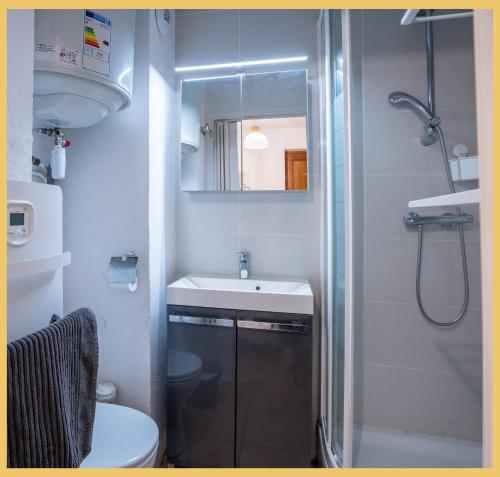 a bathroom with a shower and a sink and a toilet at Chez Sebastien I Studio I Bernex in Bernex