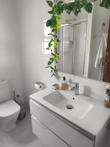 Maison en bord de canal avec piscine privée et amarre privée