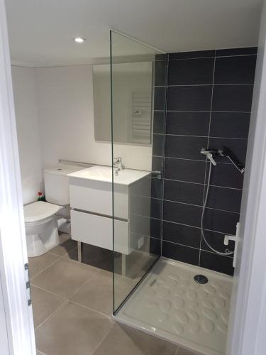 a bathroom with a shower and a sink and a toilet at le Gaspalette in Saint-Uze