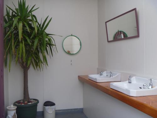 a bathroom with two sinks and a potted plant at Charleston Holiday Park in Charleston