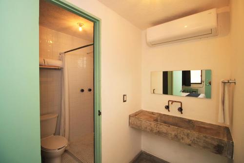 ベラクルスにあるMas Basico Hotelの洗面台とトイレと鏡のある浴室