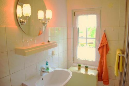 a bathroom with a sink and a mirror at Ferienwohnung Am oberen Hexenstieg in Altenbrak