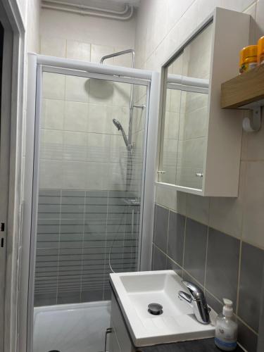 a bathroom with a sink and a shower at Le cocon-Romania in Châteauroux