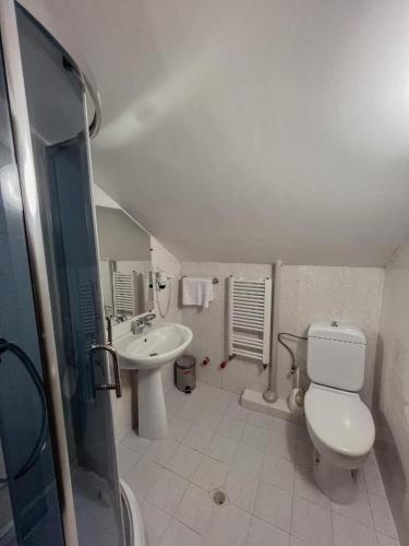 a bathroom with a toilet and a sink at Chabarukhi Gudauri Truso in Gudauri