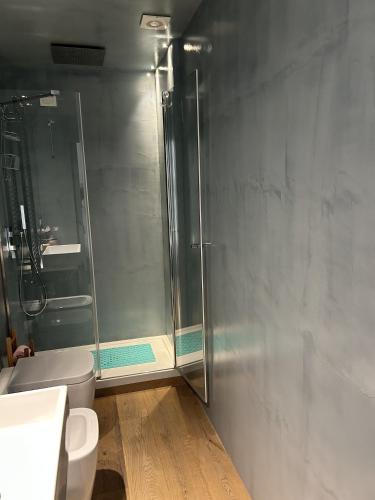 a bathroom with a shower and a toilet at Ver Sacrum - Appartamento in centro in Ascoli Piceno